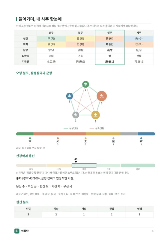 원국과 오행 분포 지면