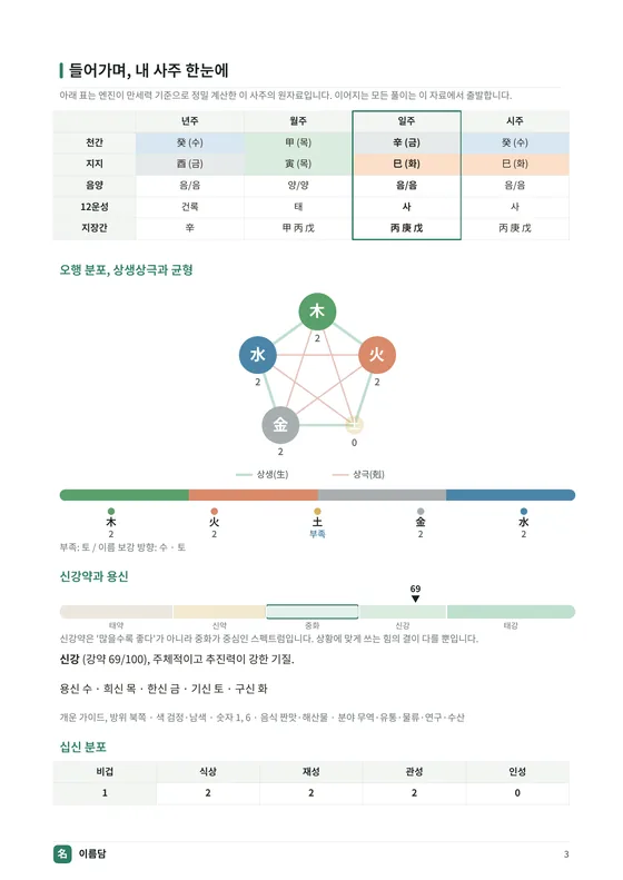 원국과 오행 분포 지면